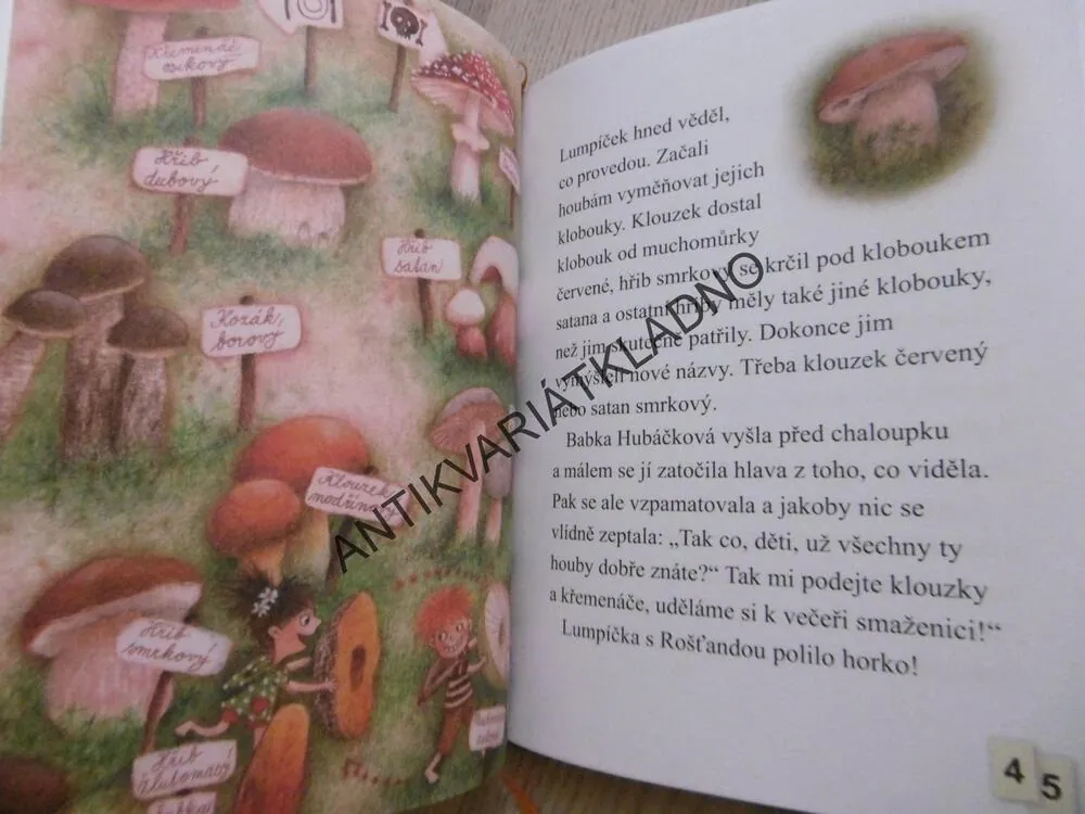 LUMPÍČEK A ROŠŤANDA, ZUZANA POSPÍŠILOVÁ, MARKÉTA VYDROVÁ, PRVNÍ ČTENÍ, **an