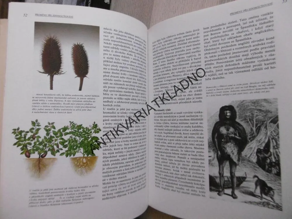 DARWINŮV PŮVOD DRUHŮ V ILUSTRACÍCH, RICHARD E. LEAKEY, **an