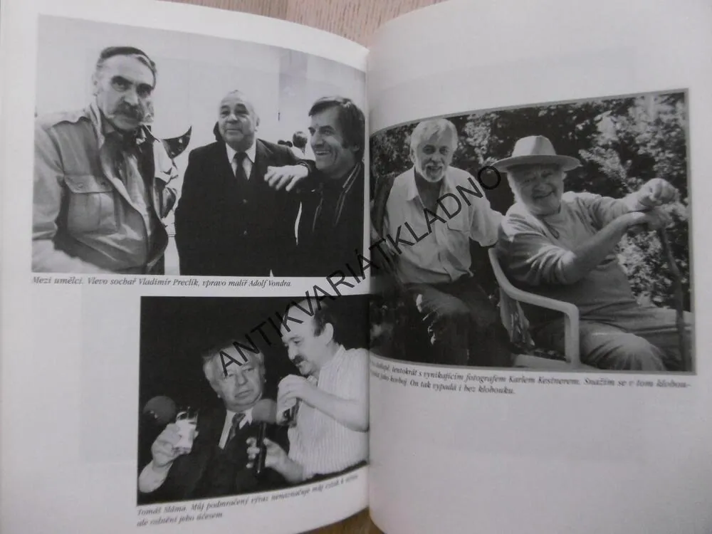 VTEŘINY ŽIVOTA, MIROSLAV HORNÍČEK, **an