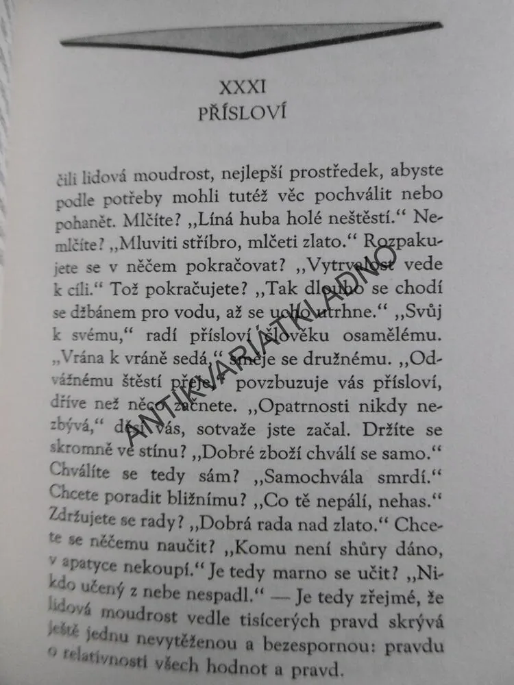 V ZAJETÍ SLOV, KAREL ČAPEK, **an