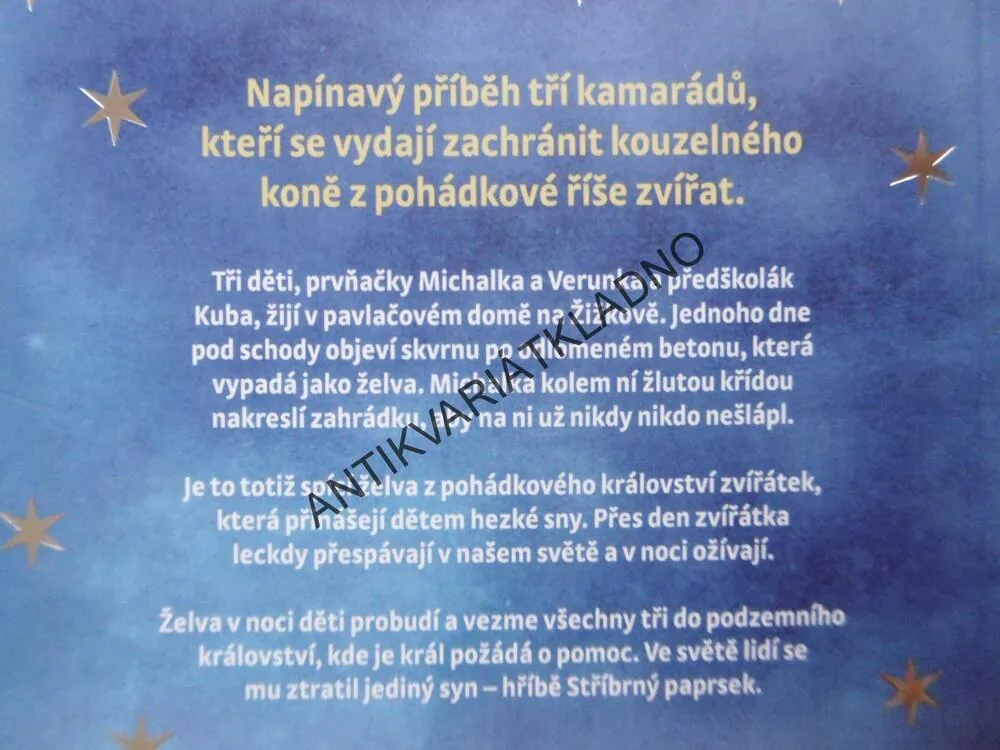 STŘÍBRNÝ PAPRSEK, VLADO RÍŠA, **an