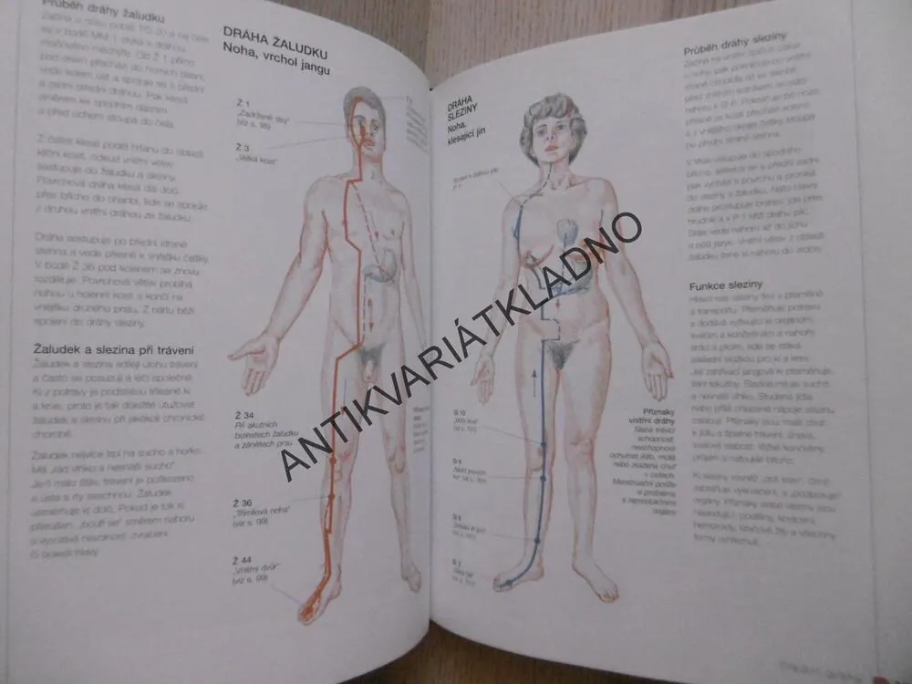 NOVÁ KNIHA SHIATSU, PAUL LUNDBERG, **an