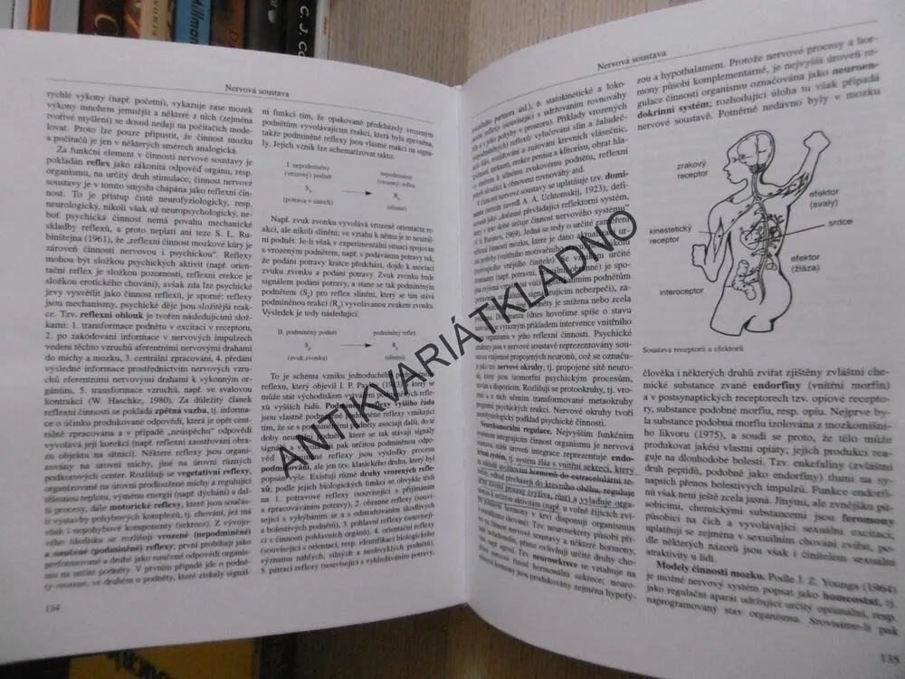 ENCYKLOPEDIE OBECNÉ PSYCHOLOGIE, MILAN NAKONEČNÝ, **an