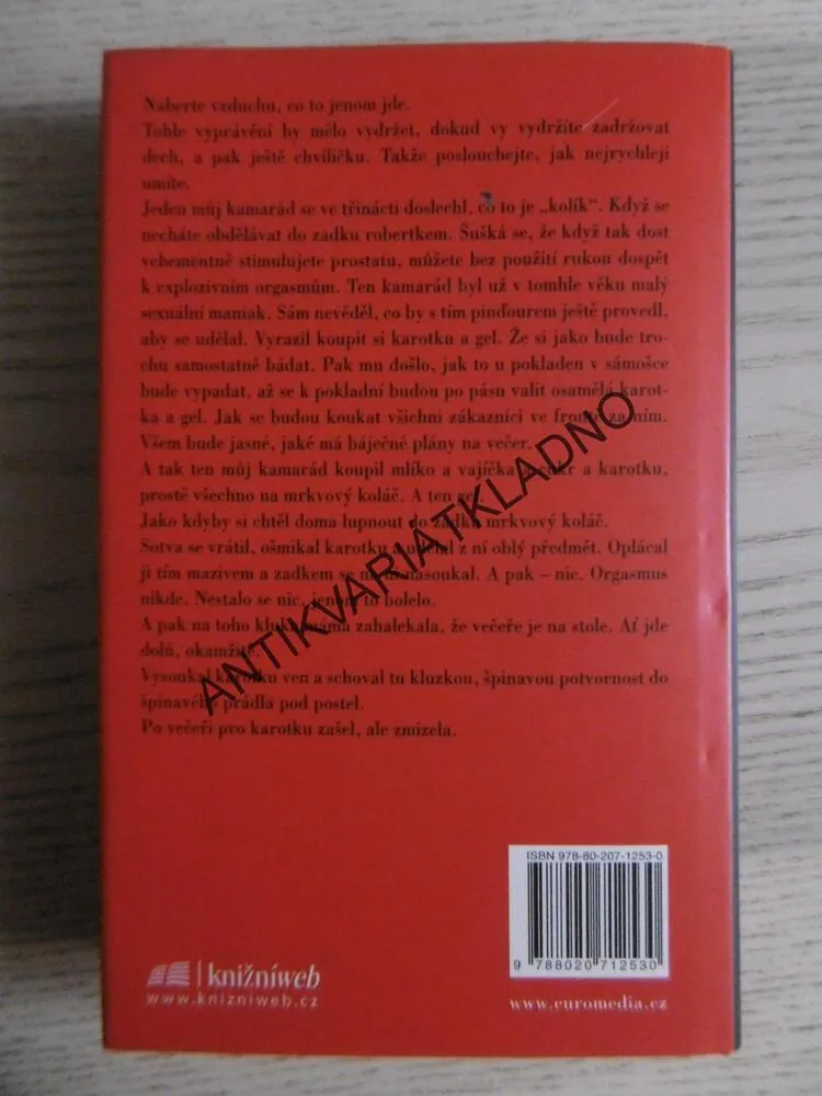 STRAŠIDLA, CHUCK PALAHNIUK, **an