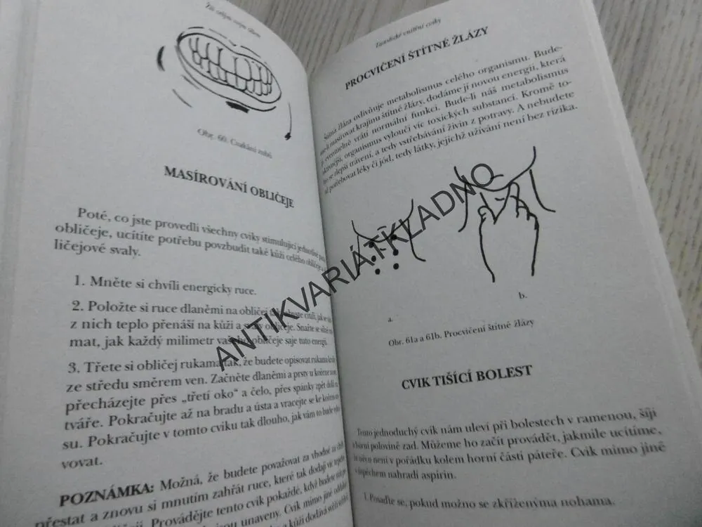 TAOISMUS PRO ZDRAVÍ, STEPHEN T. CHANG, **an