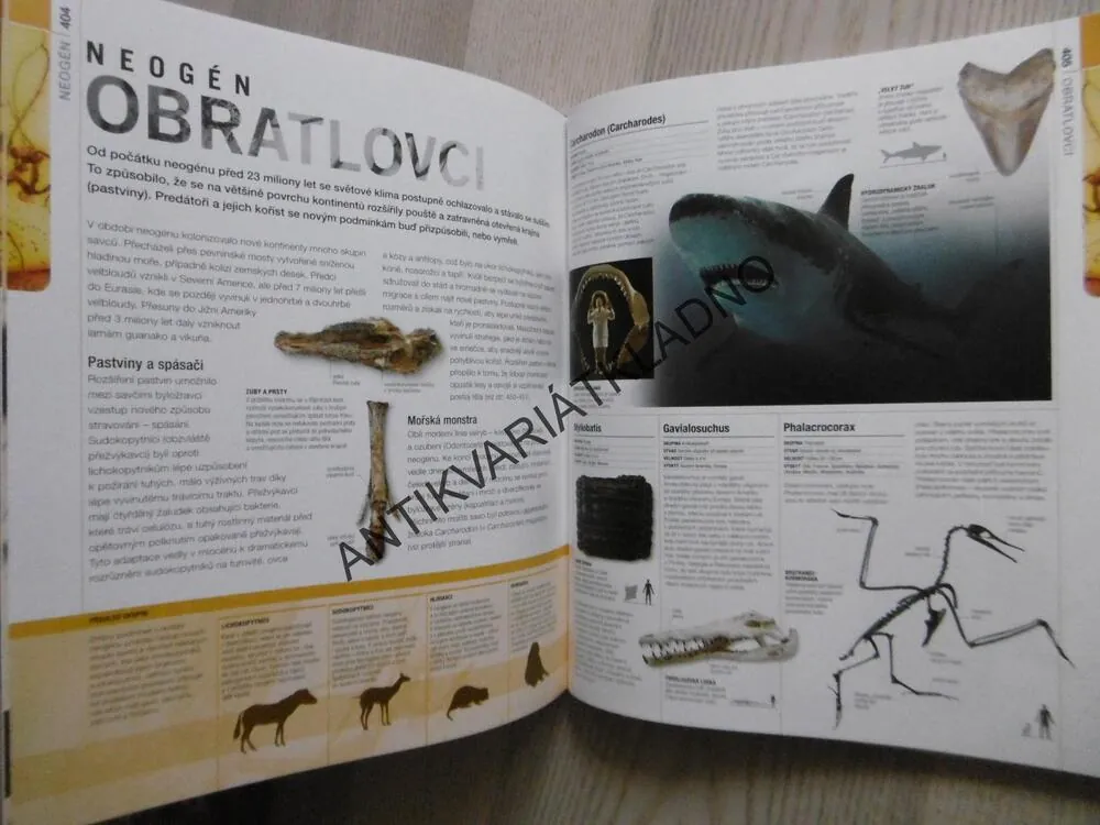 PREHISTORIE, OBRAZOVÝ PRŮVODCE VÝVOJEM ŽIVOTA NA ZEMI, **an
