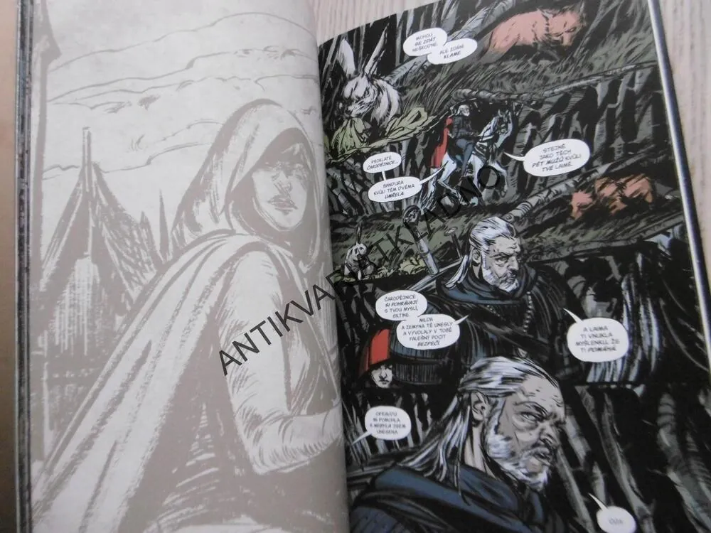 ZAKLÍNAČ, NÁŘEK ČARODĚJNICE, KOMIKS CREW DARK HORSE 6., **an