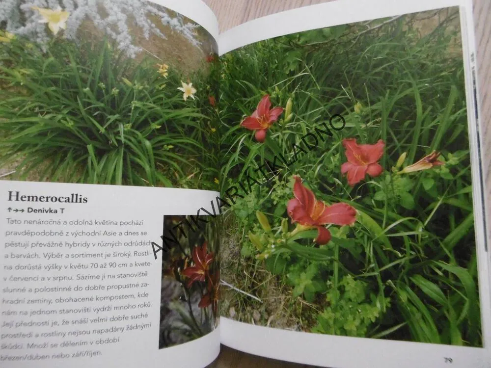 KVĚTINY A DŘEVINY PRO RADOST, **an