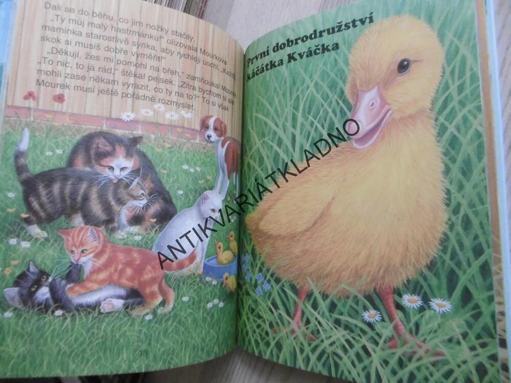 NA NAŠEM STATKU, SVOJTKA, **an