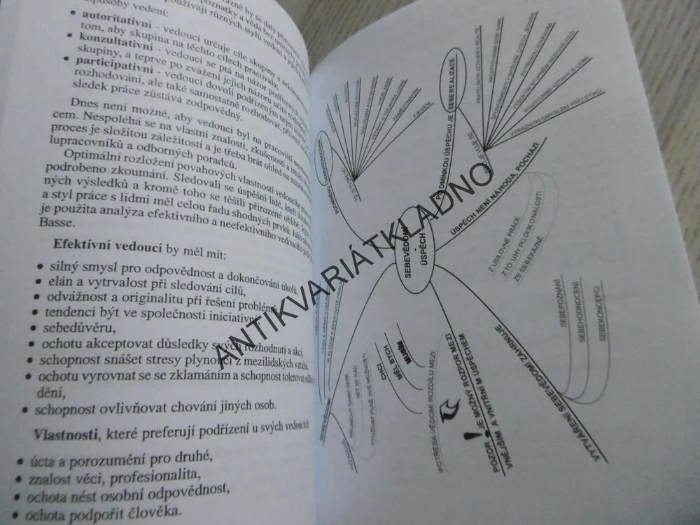 PSYCHOLOGIE PRO TEBE, LEA PAULÍNOVÁ, **an