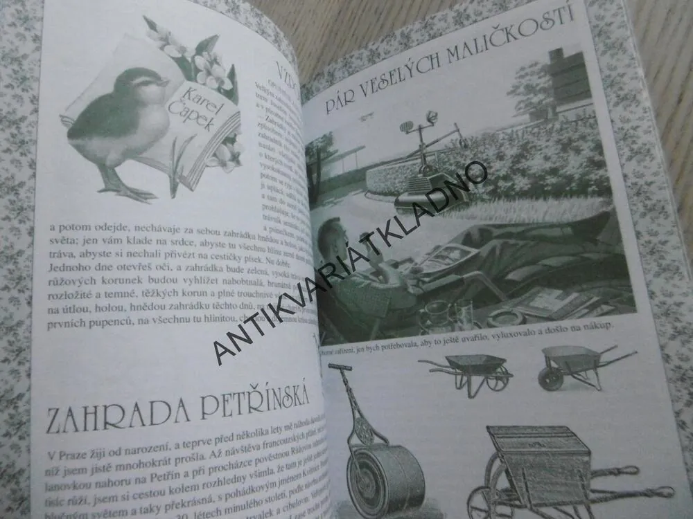 ROK S MĚSÍCEM, KLÁRA TRNKOVÁ, **an