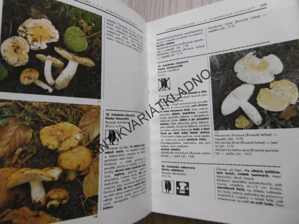POZNÁVÁME HOUBY, KLUZÁK, SMOTLACHA, ERHARTOVI, MYKOLOGIE , **an