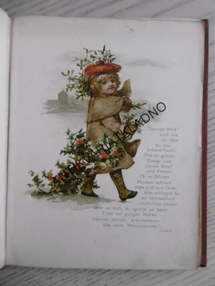 FLORA, LIEDER UND WEISEN, AMÉLIE GODIN, NĚMECKY, LITOGRAFIE,