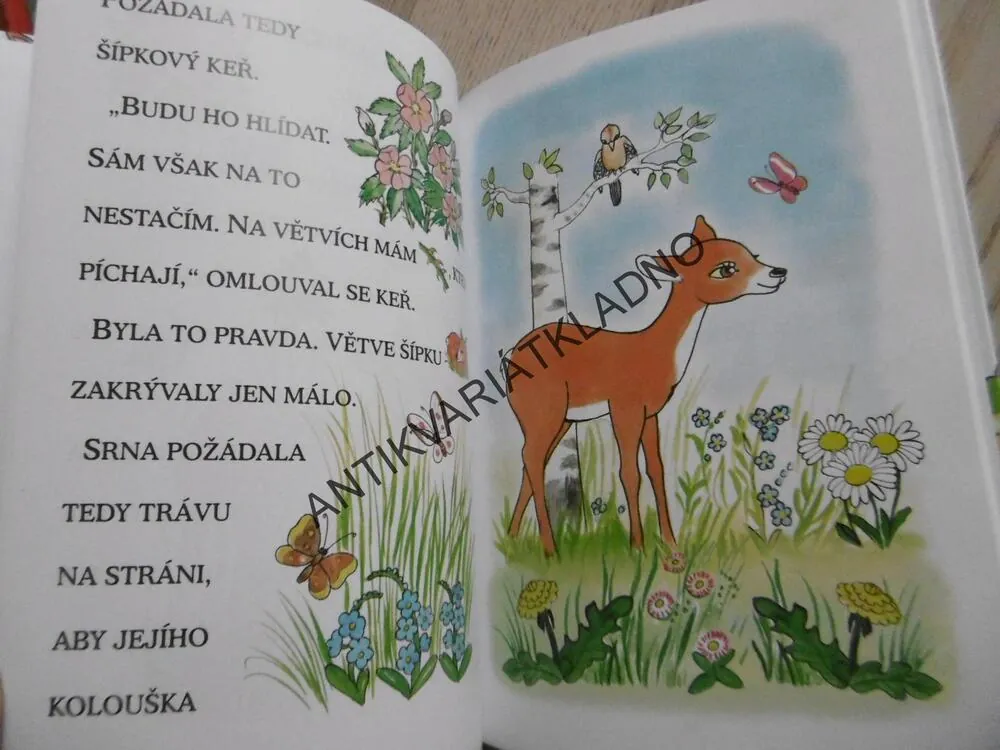 PRVNÍ ČTENÍ S VELKÝMI PÍSMENY, GABRIELA KOPCOVÁ, **an