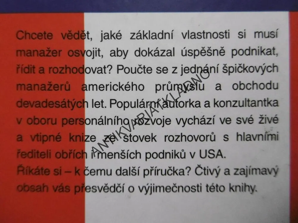 JAK PŘEMÝŠLÍ AMERICKÝ ŠÉF?, DEBRA BENTONOVÁ, **an