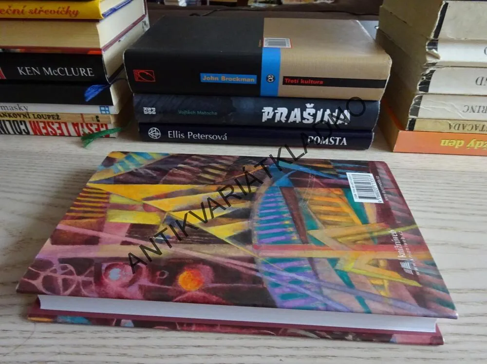 NEBE NEMÁ DNO, HANA ANDRONIKOVA, **an