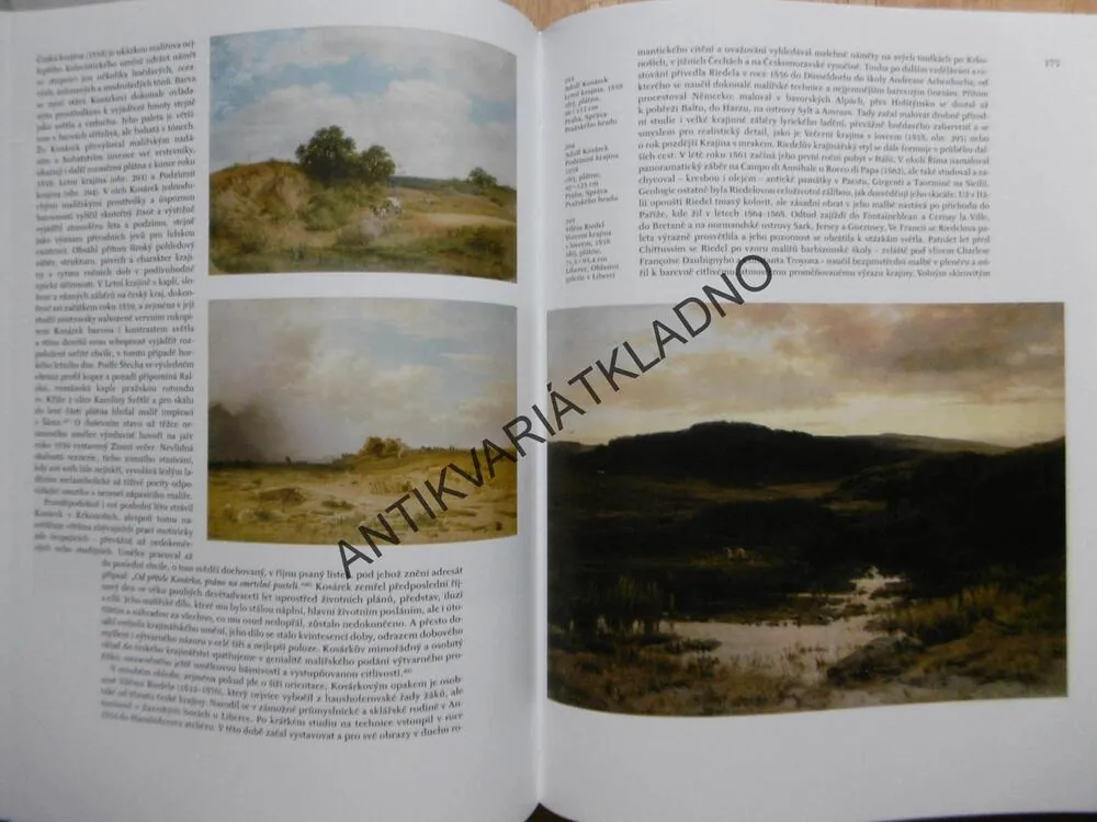 DĚJINY ČESKÉHO VÝTVARNÉHO UMĚNÍ 1780/1890 (III/1)