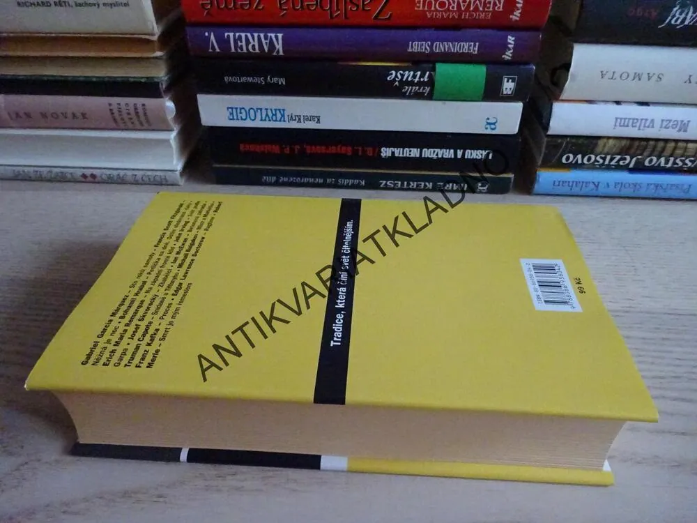 SVĚT PODLE GARPA, JOHN IRVING, **an