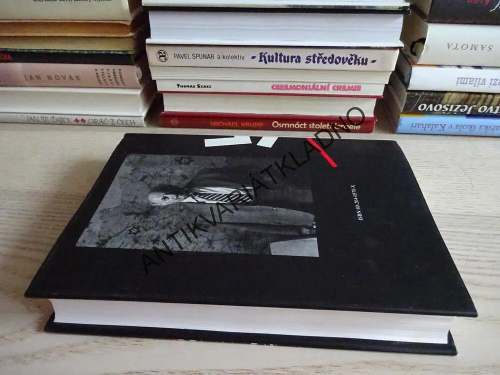 SIMON WIESENTHAL A JEHO PŘÍPADY, ALAN LEVY, **an