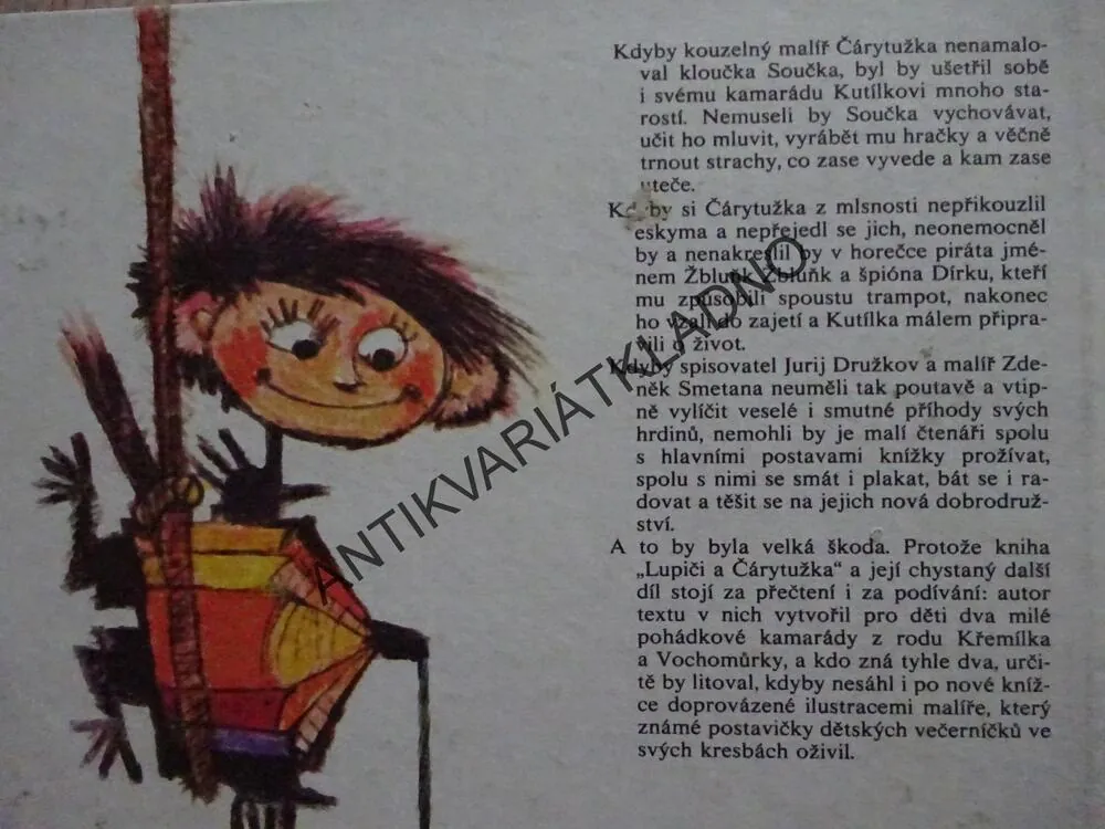 LUPIČI A ČÁRYTUŽKA, JURIJ DRUŽKOV, **an