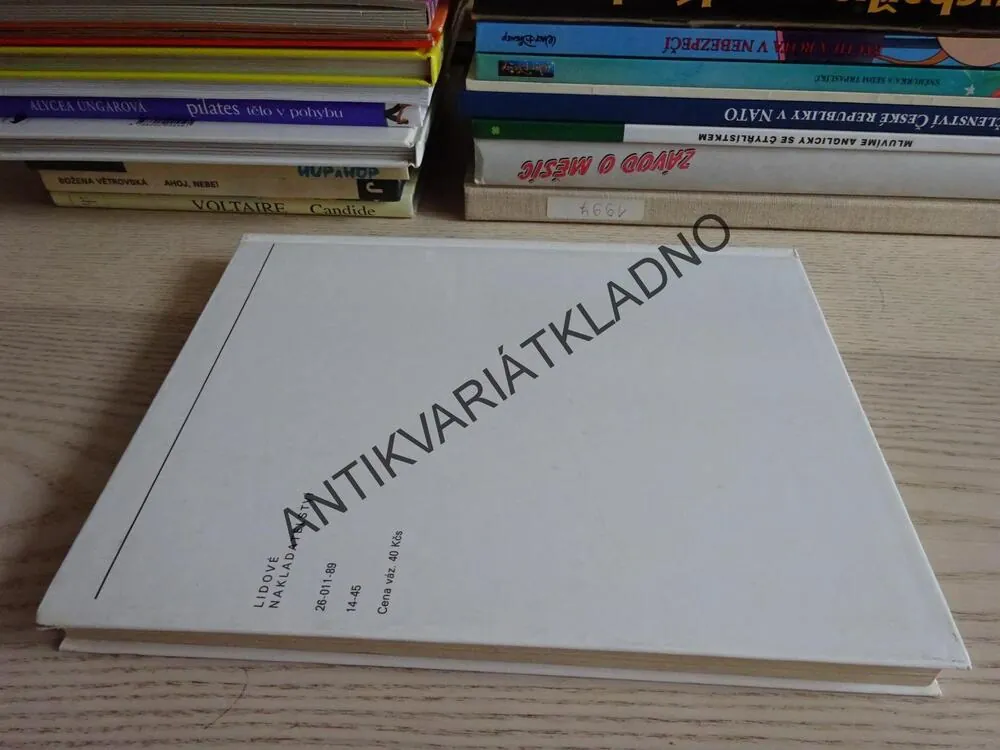 O SRDNATÉM STŘELCI ANDREJOVI A JINÉ POHÁDKY, **an