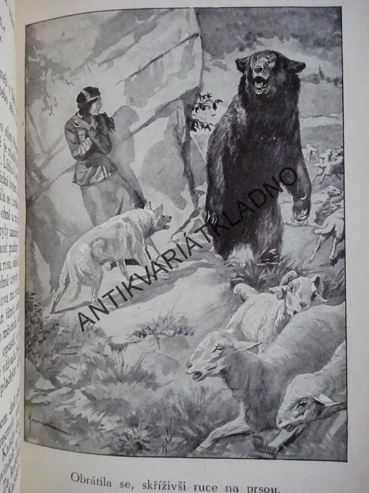LOVEC DIVOKÝCH VČEL, 2 X ZANE GREY, **an