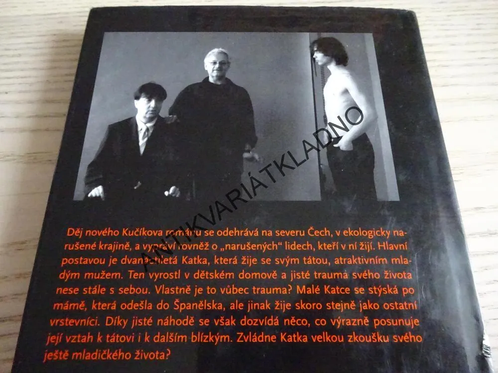 MÁM TĚ RÁD - DOOPRAVDY!, VLADISLAV KUČÍK, **an