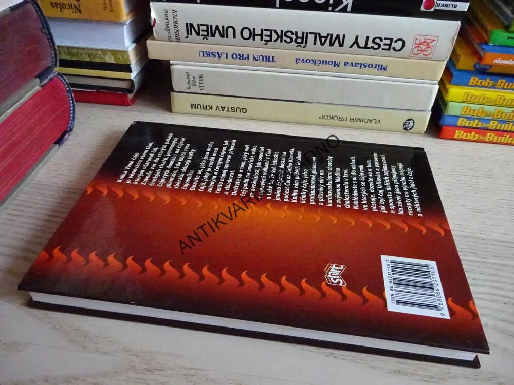 VŮNĚ ČAJE, JANA ARCIMOVIČOVÁ, PAVEL VALÍČEK, **an