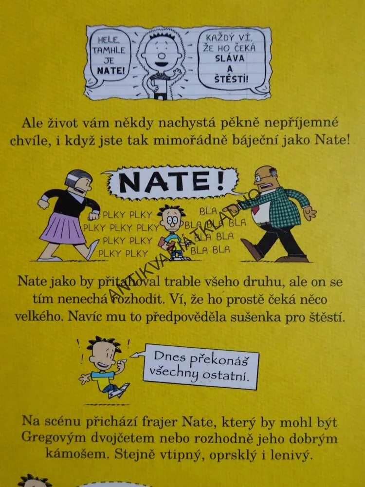 VELKEJ FRAJER NATE JE PROSTĚ TŘÍDA, KOMIKS, LINCOLN PEIRCE, **an