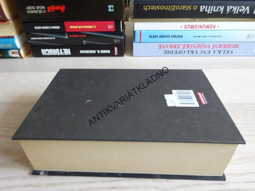 FRANCO NEBOLI O ÚSPĚCHU PRŮMĚRNÉHO ČLOVĚKA, ANDRÉE BACHOUDOVÁ, **an