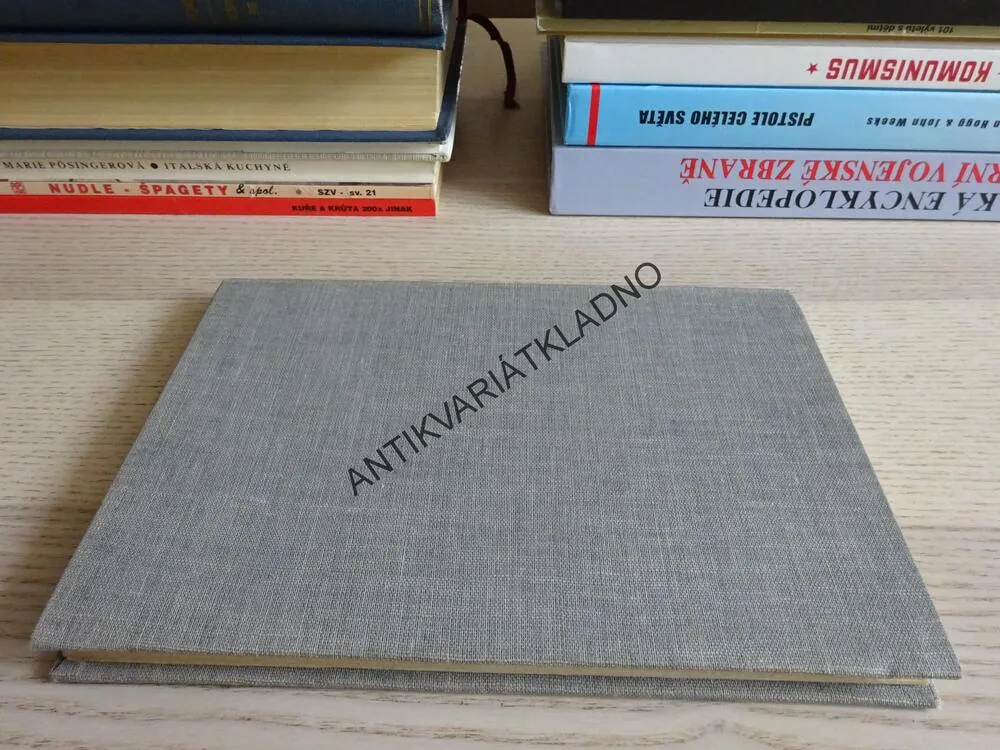MOLTKE VZOREM, V. SEECKT, **an