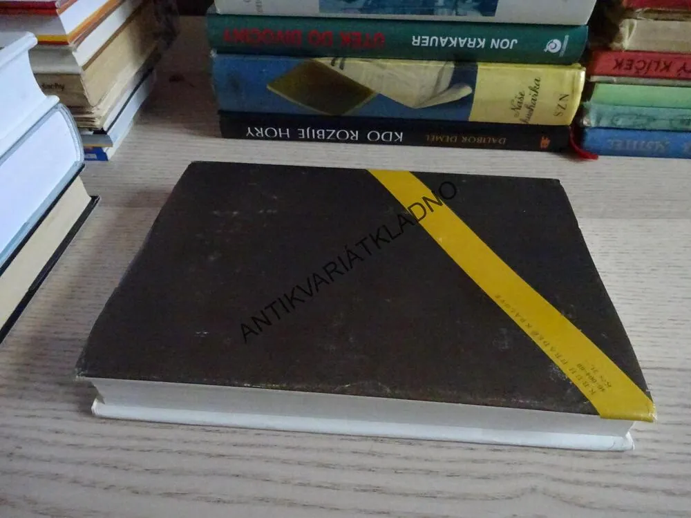 JEDEN I DRUHÝ, VZPOMÍNKY NA BRATRY ČAPKY, LADISLAV VACINA, **an