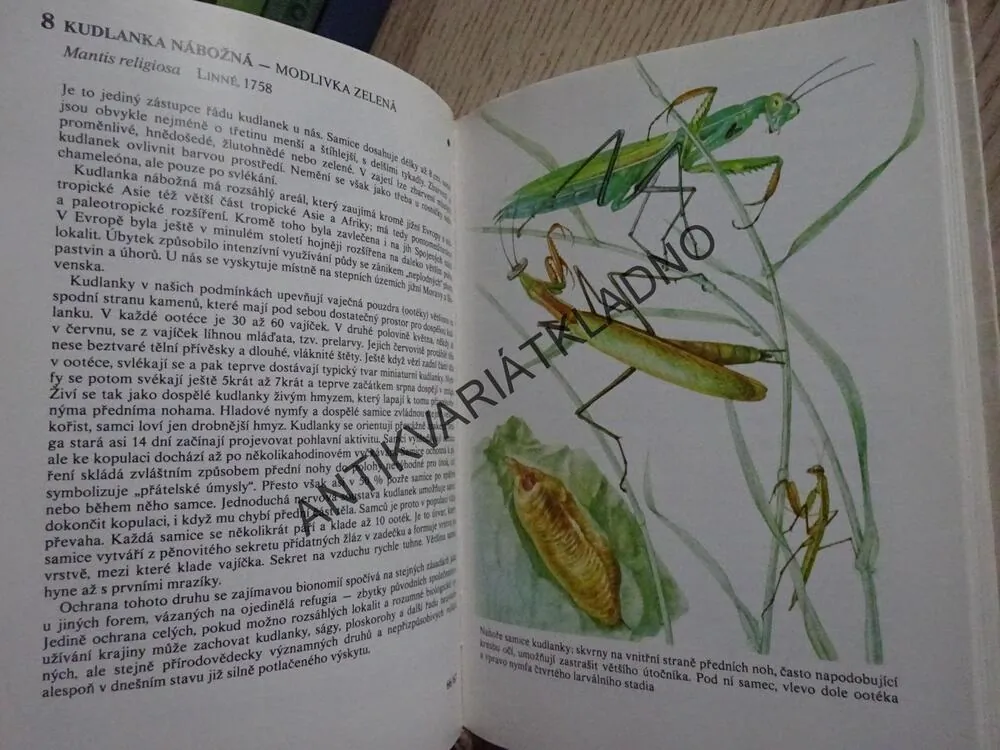 KAPESNÍ ATLAS CHRÁNĚNÝCH A OHROŽENÝCH ŽIVOČICHŮ, PŘÍHODA, **an