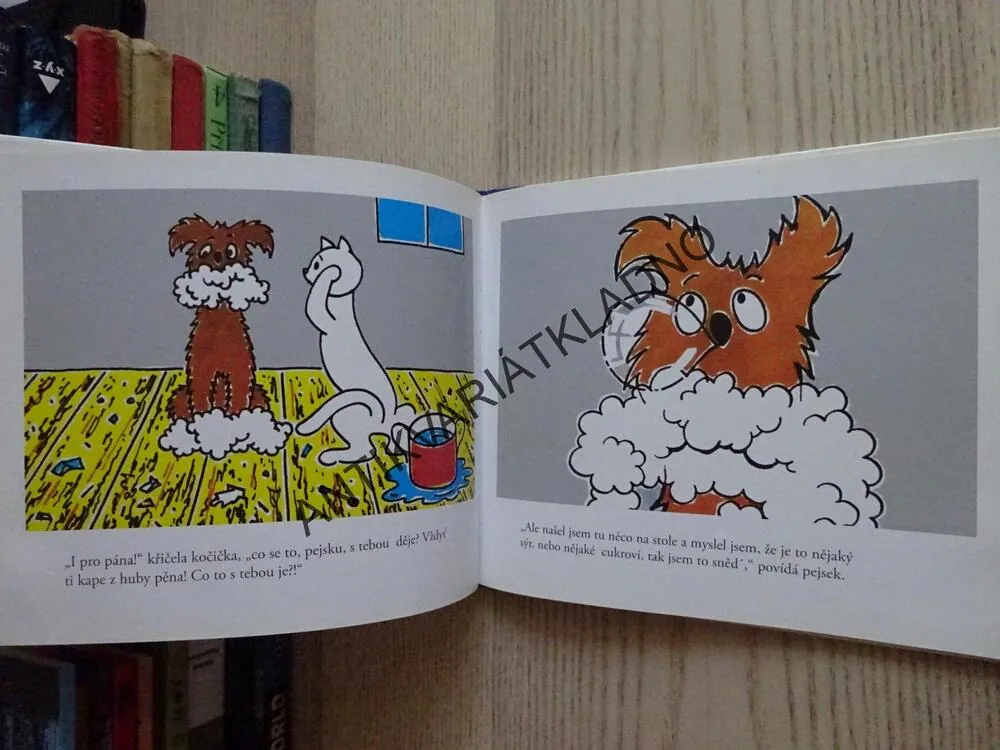 POVÍDÁNÍ O PEJSKOVI A KOČIČCE, JAK SI MYLI PODLAHU, JOSEF ČAPEK, **an