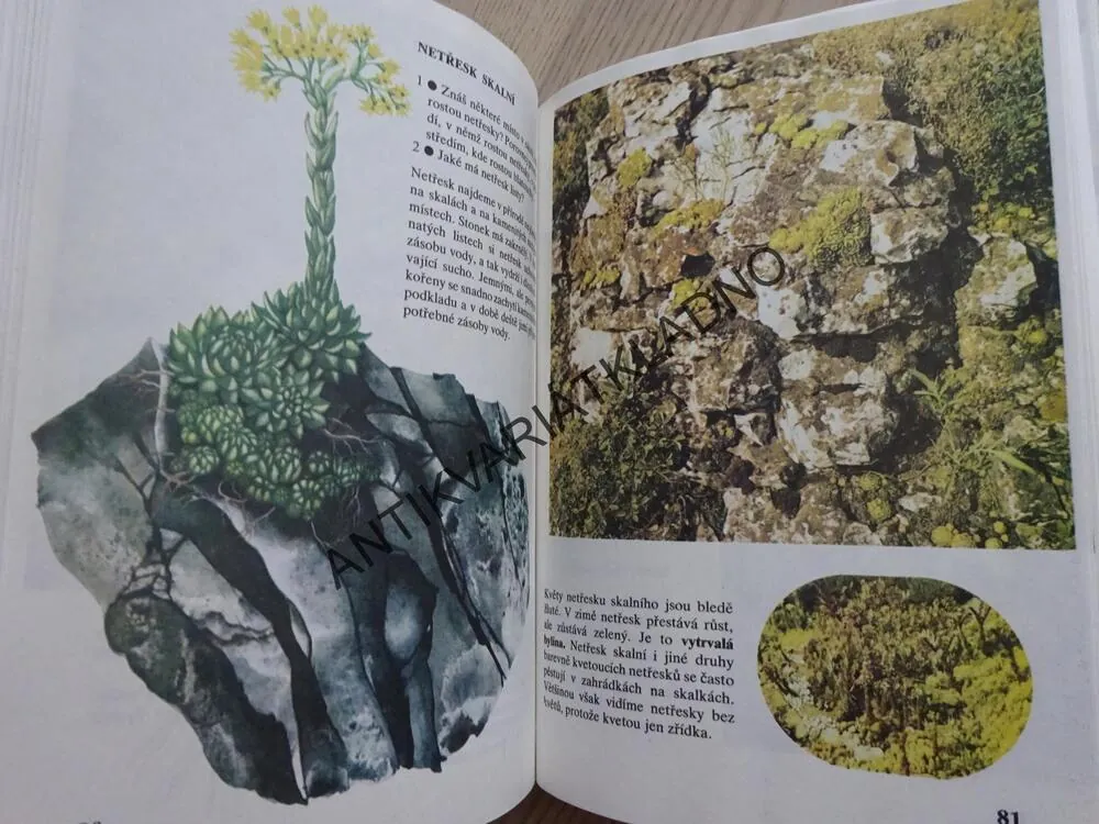 PŘÍRODOVĚDA 4, PRO ČTVRTÝ ROČNÍK ZÁKLADNÍ ŠKOLY