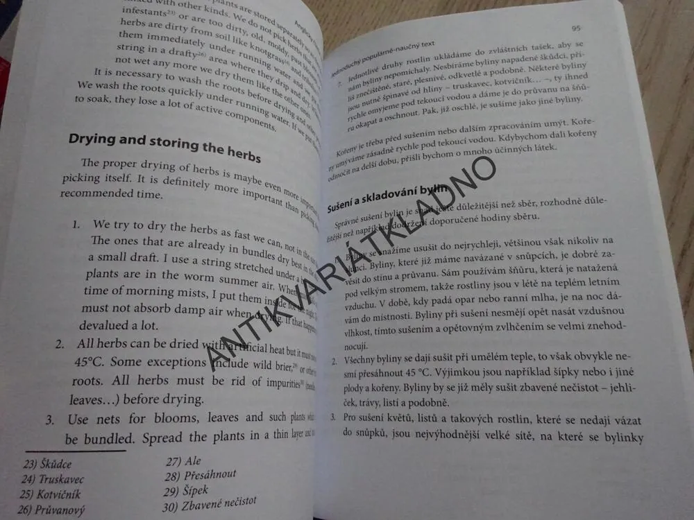 ANGLICKY ČTEME ZÁBAVNĚ, ZRCADLOVÝ TEXT, DVOJJAZYČNÉ