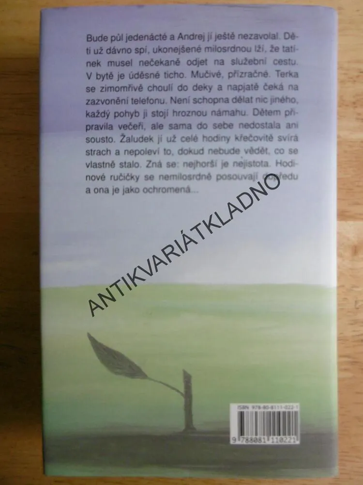 ROZBITÉ ŠTĚSTÍ, TÁŇA KELEOVÁ-VASILKOVÁ