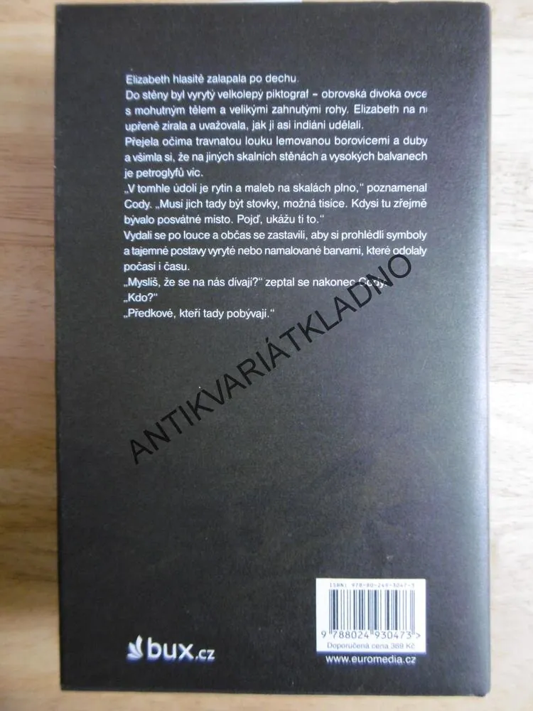 ZEMĚ ODPOLEDNÍHO SLUNCE, BARBARA WOODOVÁ, WOOD, **an