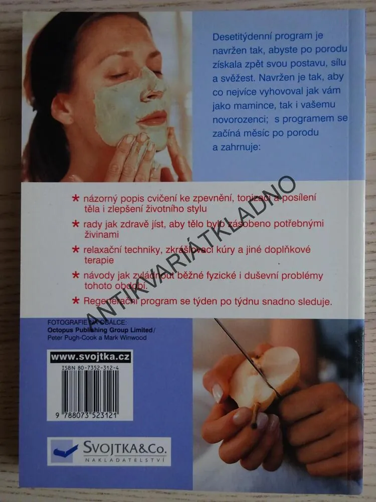 OPĚT VE FORMĚ, SALLY LEWISOVÁ, **an