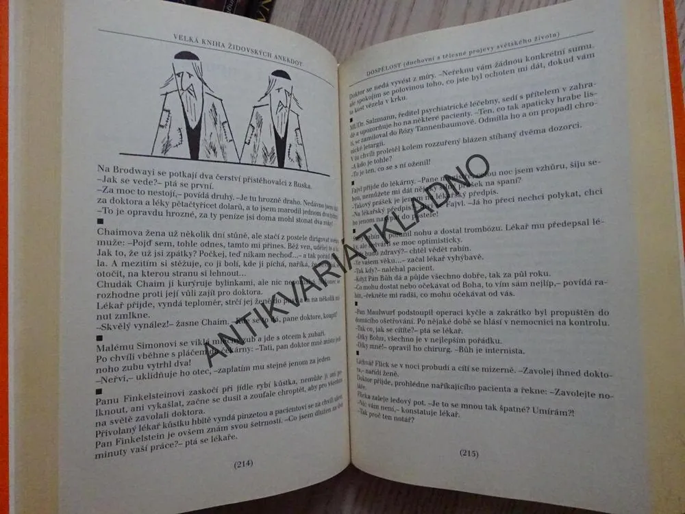 VELKÁ KNIHA ŽIDOVSKÝCH ANEKDOT, EDUARD SVĚTLÍK, **an