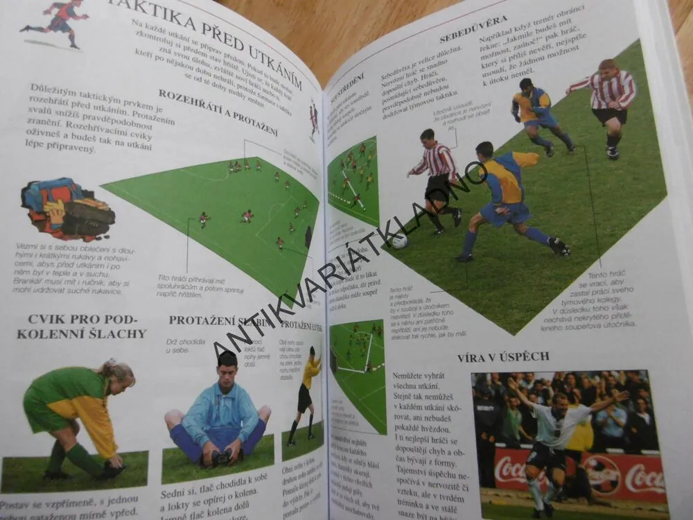 VELKÁ ŠKOLA FOTBALU, SPORT, FOTBAL,