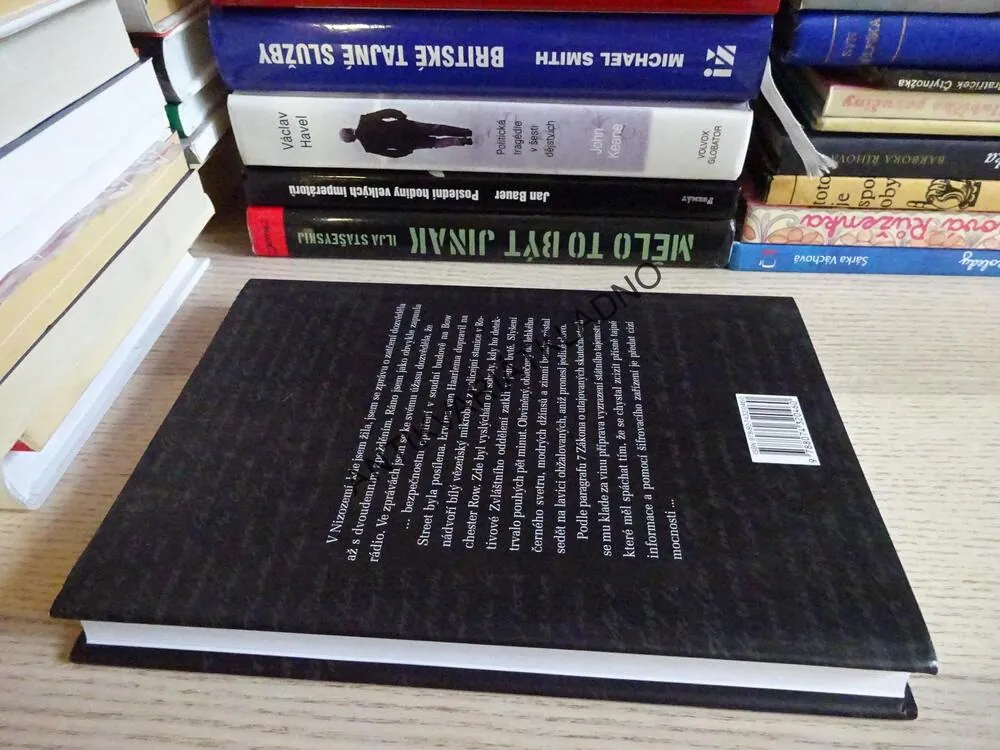DVAKRÁT JSEM ZTRATILA SYNA, JOHANNA VAN HAARLEMOVÁ, **an