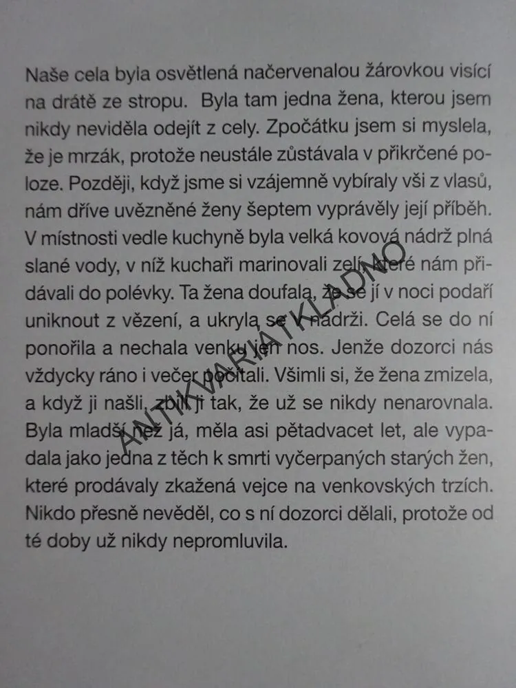 HVĚZDY MEZI SLUNCEM A MĚSÍCEM, LUCIA JANGOVÁ, SUSAN MCCLELLANDOVÁ, **an