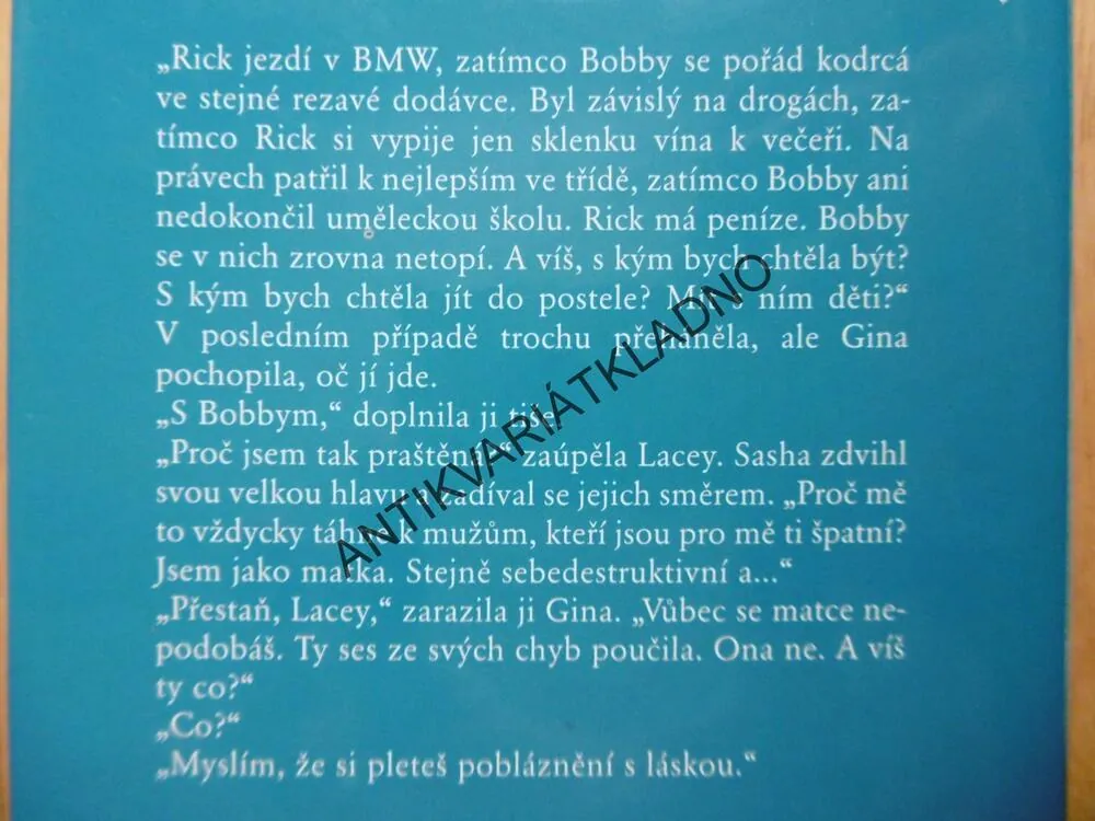 MATČIN STÍN, DIANE CHAMBERLAINOVÁ, **an