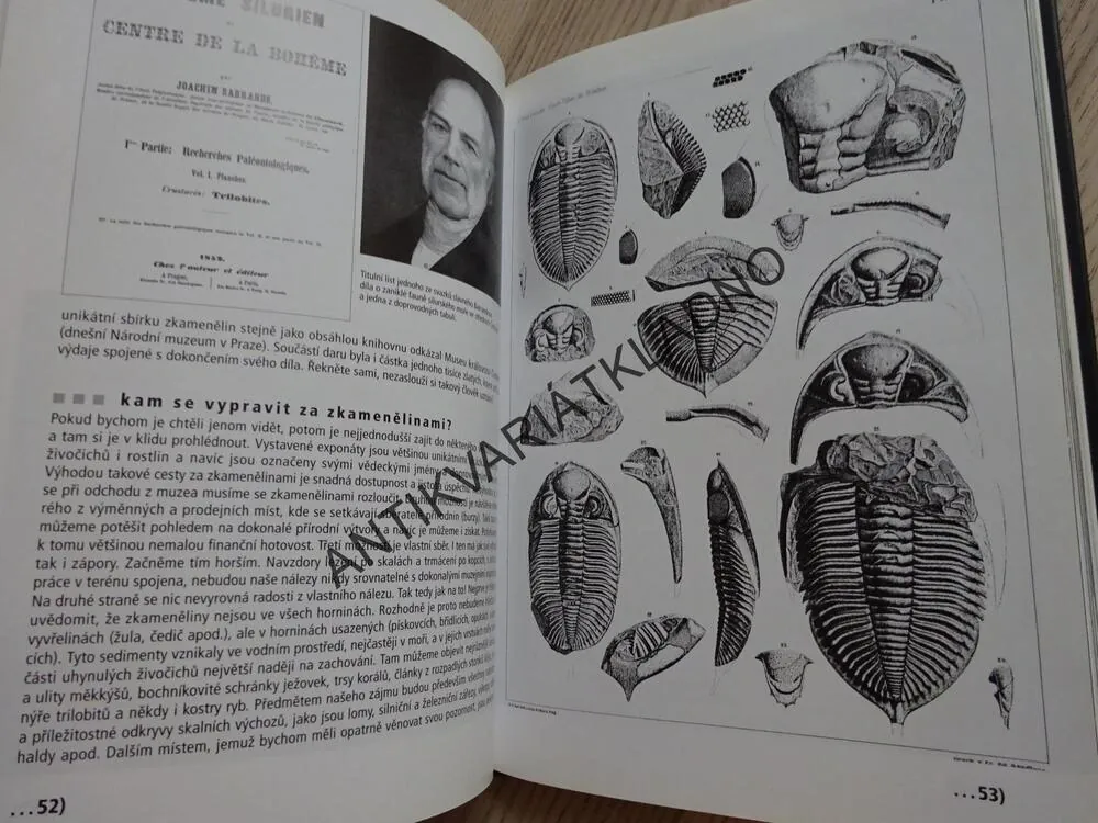 JAK SE LOVÍ DINOSAUŘI ANEB CO NEVÍTE O HISTORII ZEMĚ, BOŘIVOJ ZÁRUBA, **an