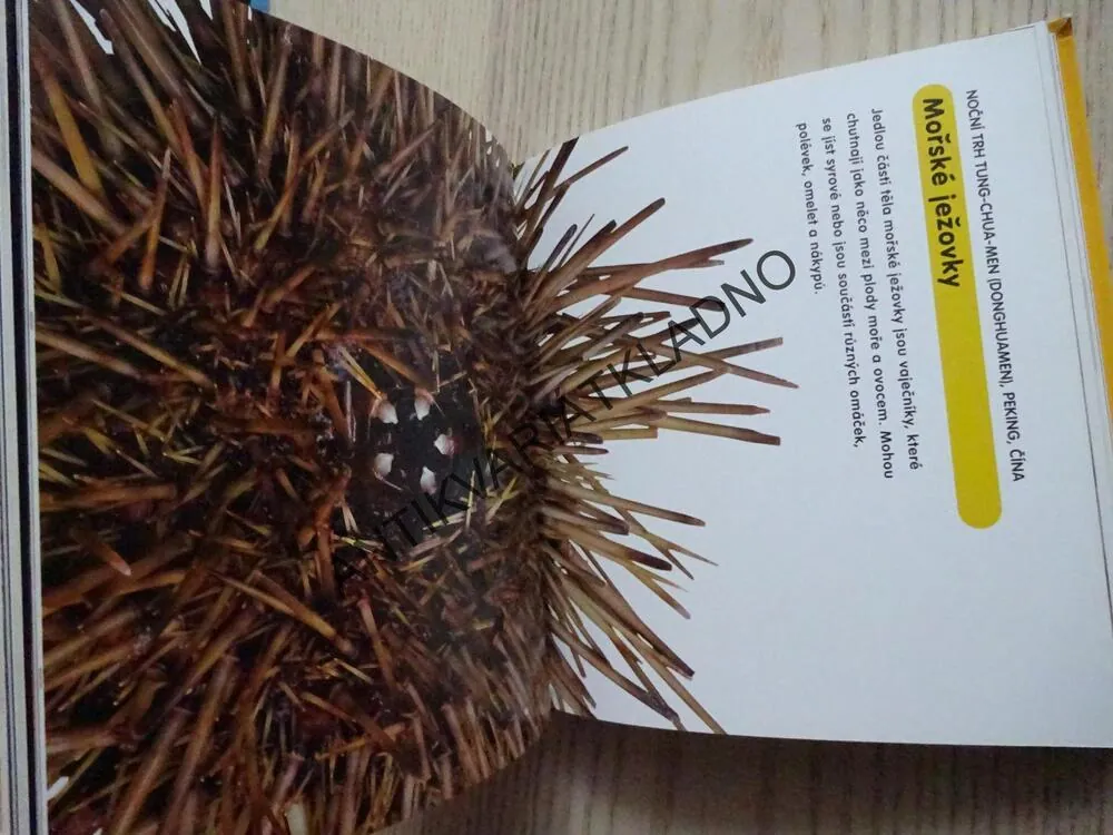 NO FUJ! CO VŠECHNO LIDÉ JEDÍ, NEIL SETCHFIELD, **an