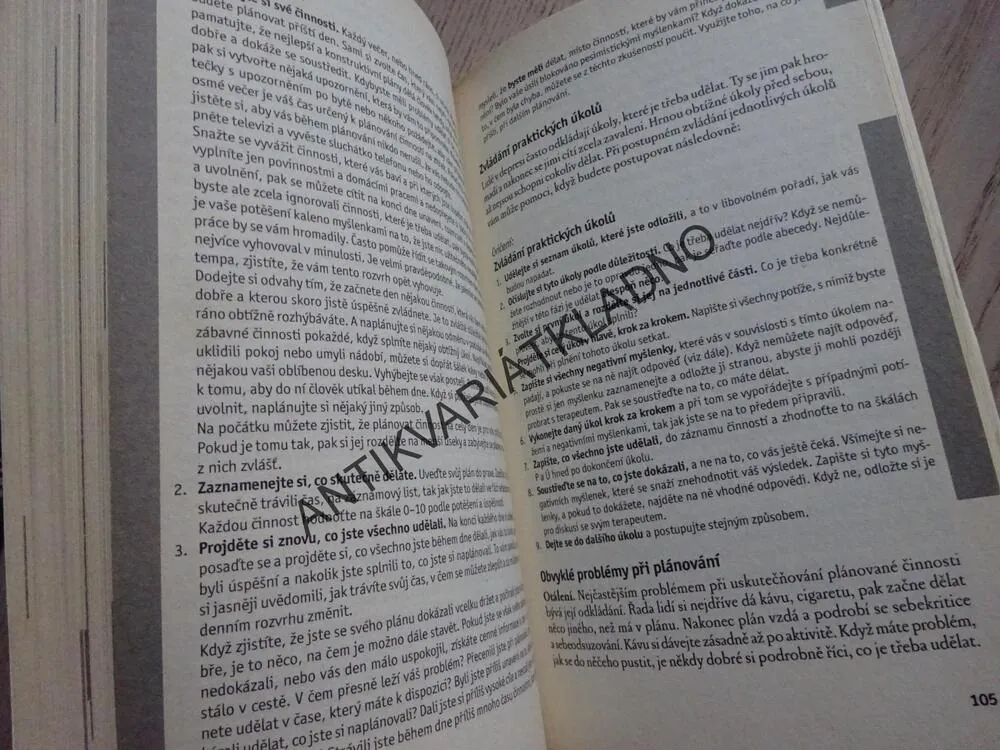 DEPRESE A JAK JI ZVLÁDAT, PRAŠKO, BULIKOVÁ,DEPRESE, PSYCHOLOGIE, **an