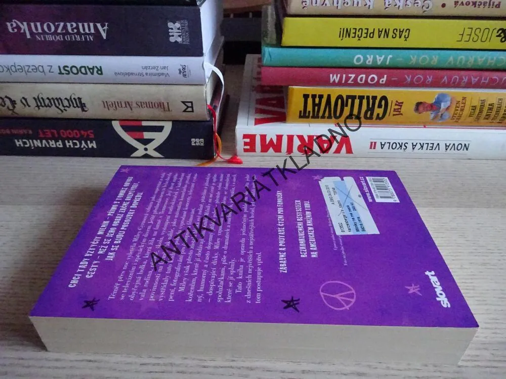 MILNÍKY NA MÉ CESTĚ, MILEY CYRUS, **an