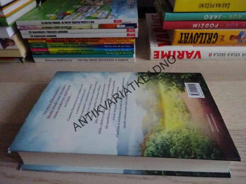 NEBE NAD KILIMANDŽÁREM, LEAH BACH, ANNE JACOBSOVÁ, **an