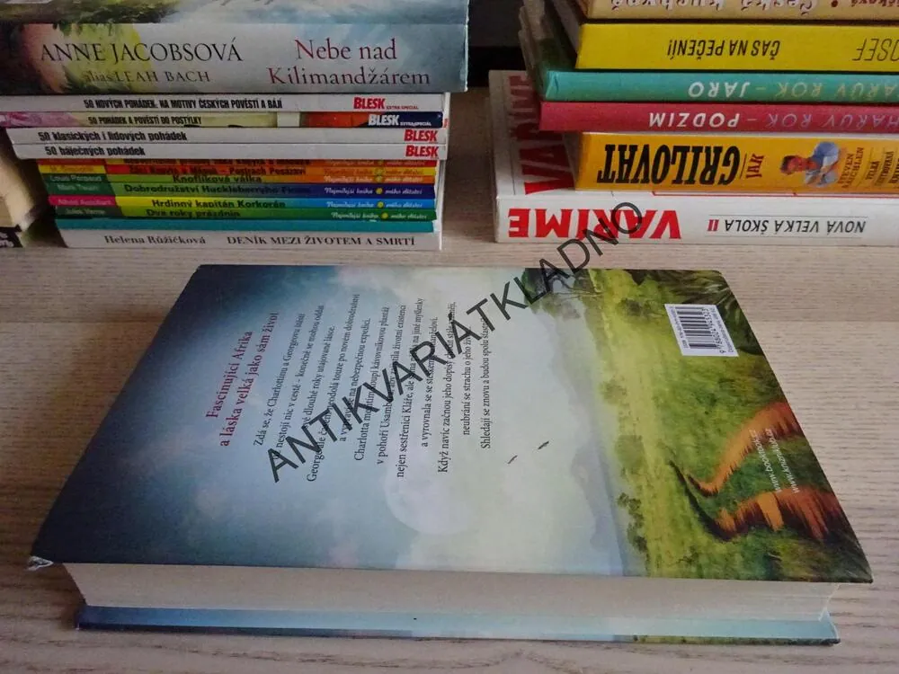 NĚŽNÝ MĚSÍC NA USAMBAROU, LEAH BACH, ANNE JACOBSOVÁ, **an